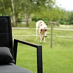 Beim Baltas Wildpoldsried