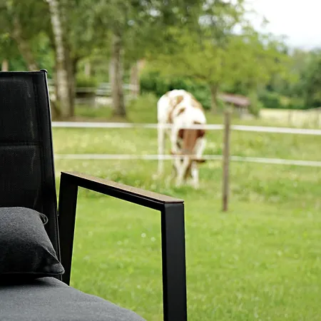 Beim Baltas Wildpoldsried